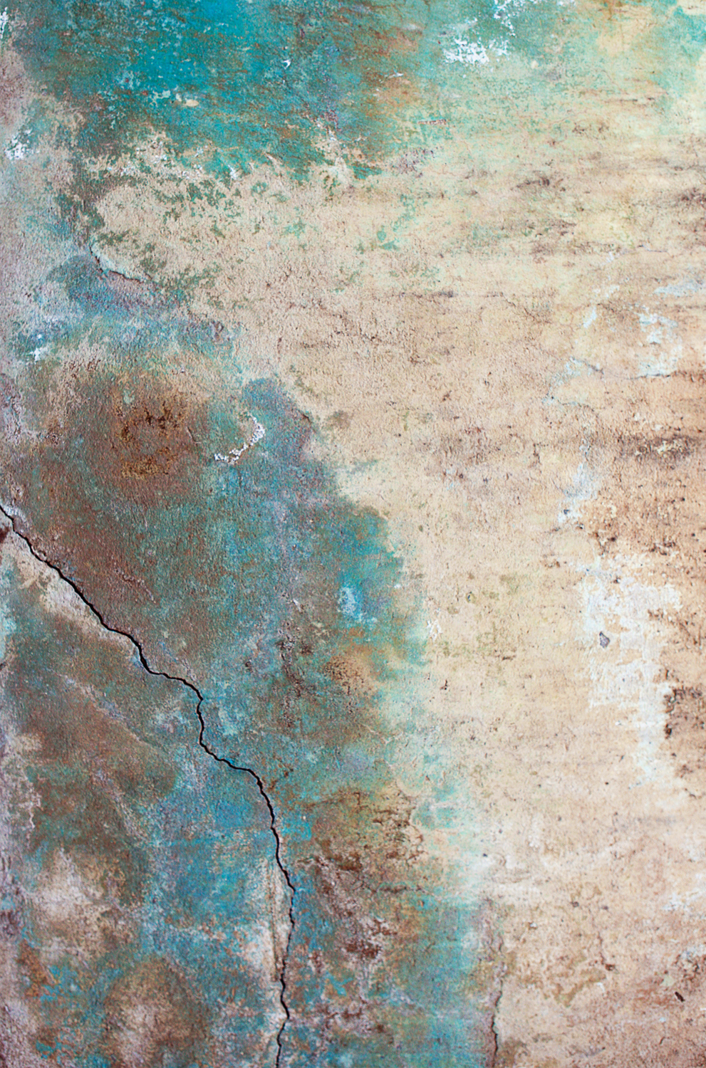 Coincidental Paintings