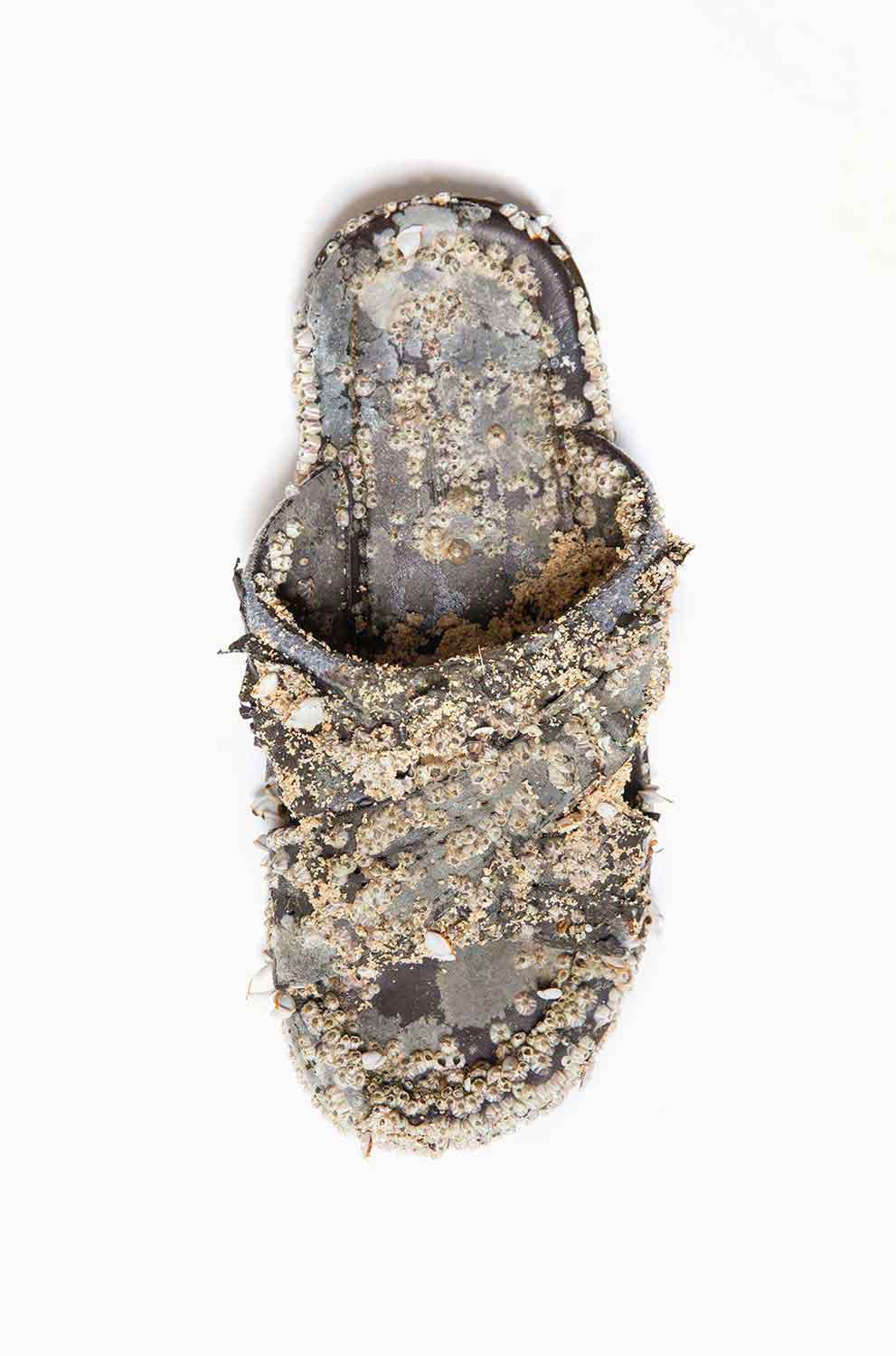 Fusion between nature and plastic waste at the Gulf of Thailand.